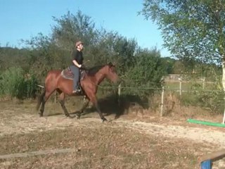 31.08.2012.d.detente