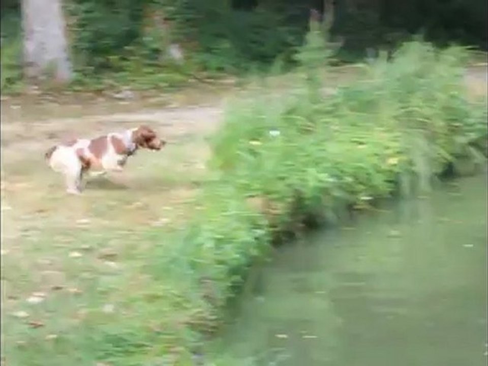 VIDEO FIGHT