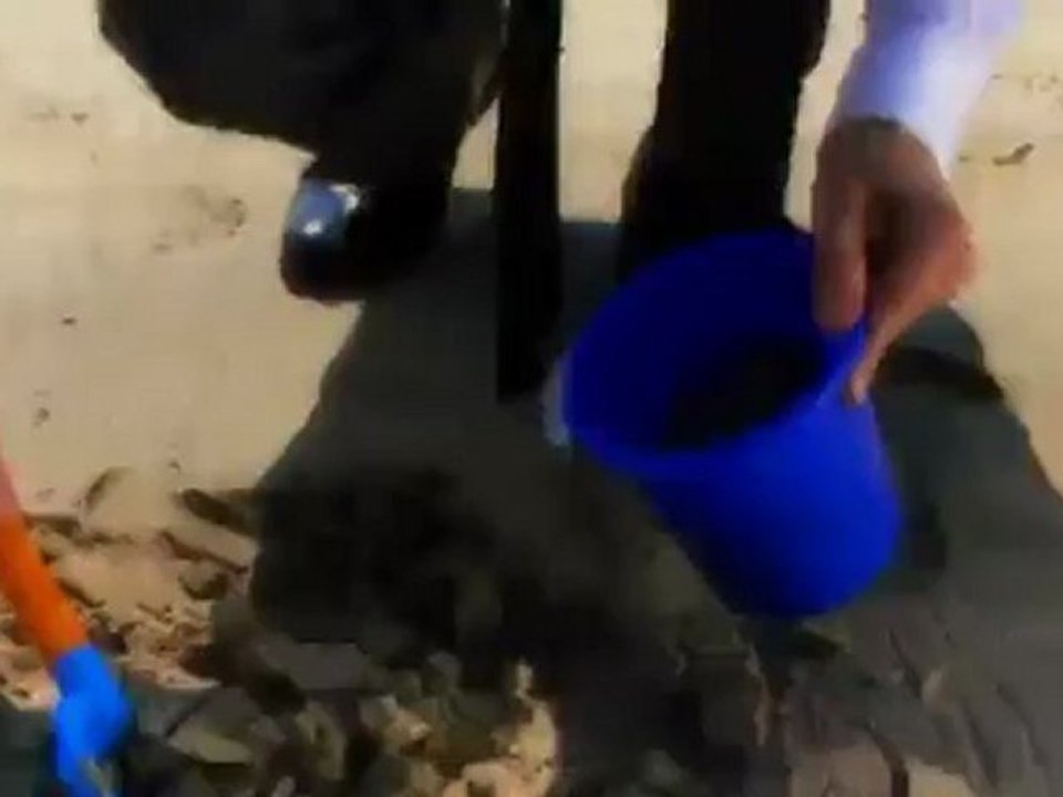 Max x. und die Müdigkeit | Euromaxx - Die wundersame Welt des max x