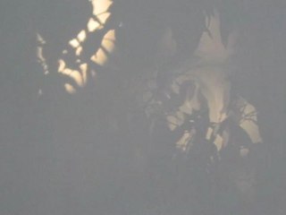 Ombres
