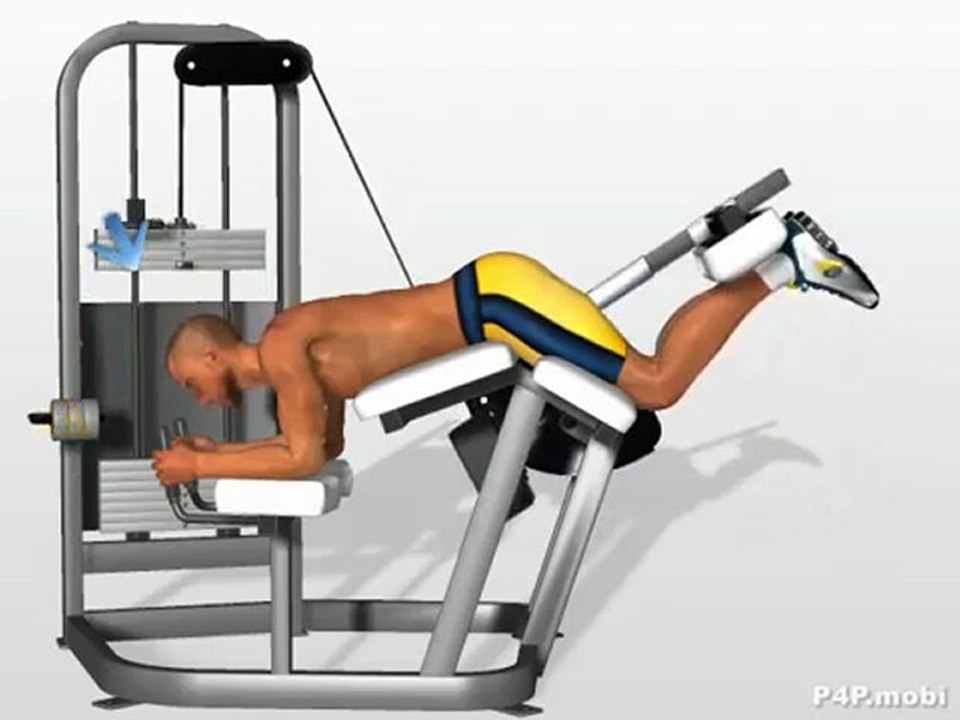 Hamstring exercises: Leg Curl Machine Exercise