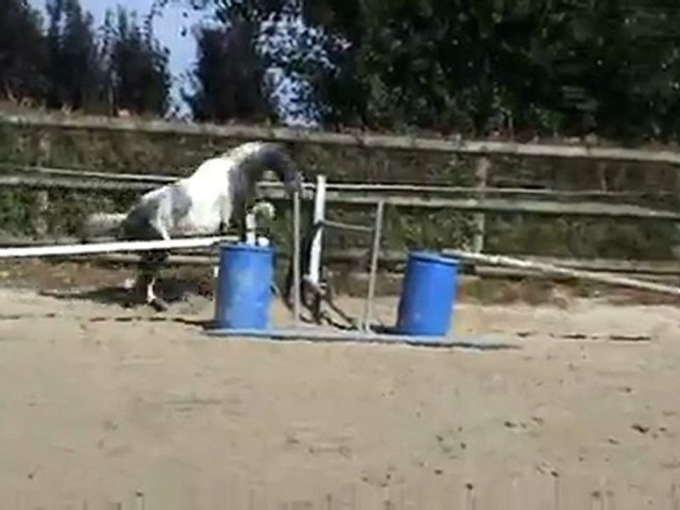 sauter ? ou est le problème ?