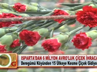 ISPARTA’DAN 6 MİLYON AVRO’LUK ÇİÇEK İHRACATI