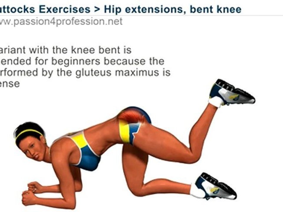 bent knee hip raise