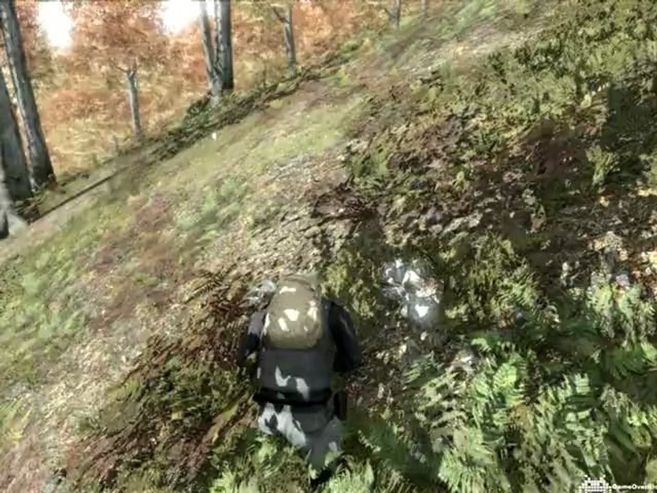 Tutos DayZ - Chasser et faire cuire un gibier