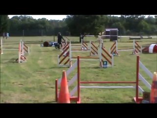 Carla & City Concours Agility à Echillais le 24 Juin 2012