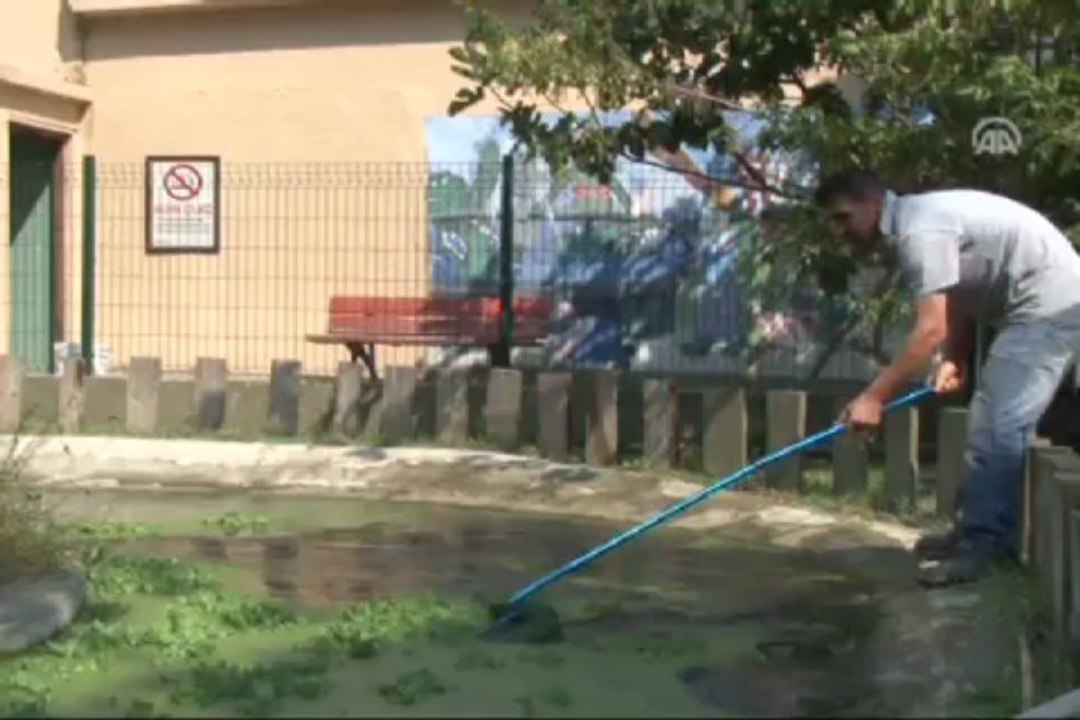 Havuza bitkisel temizlik