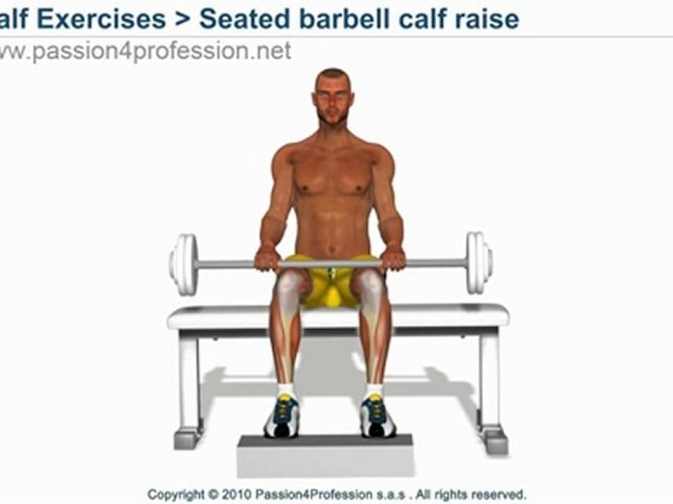 Seated barbell calf raise exercise
