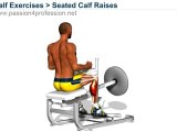 Seated Calf Raises with Machine (calf exercise)
