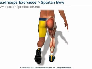 Spartan Bow from  Spartan Series  (300 workout)