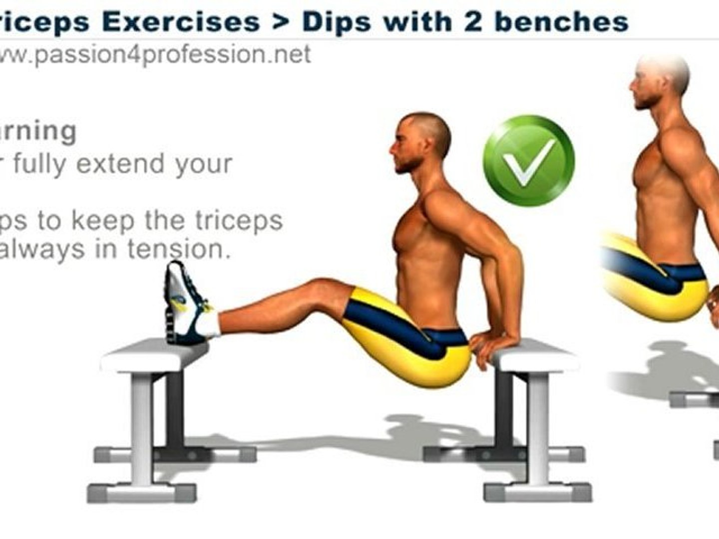 Triceps Exercises Dips 2 Benches Video Dailymotion