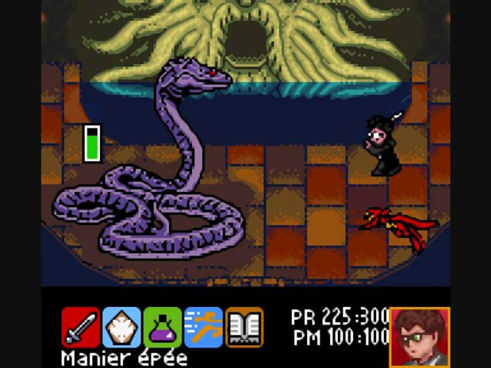 10) Harry Potter et la Chambre des Secrets - Arachnide et Ophidien