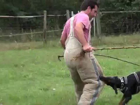 entrée ring 19 mois magmar von der burgstatte