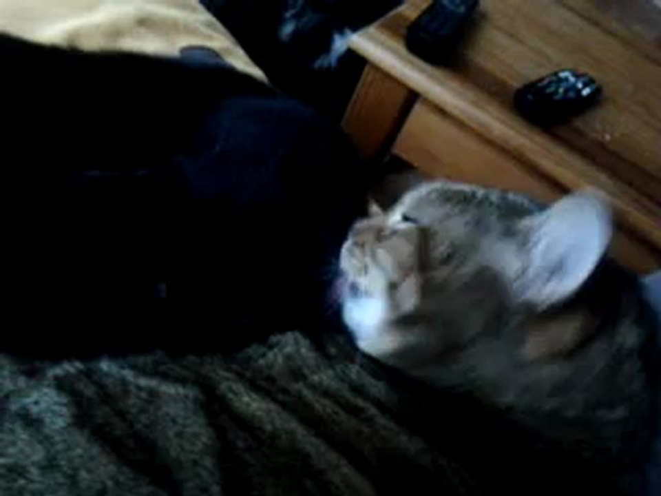 Betty et Fan 03092012 015