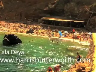 Soller Real Estate Agency