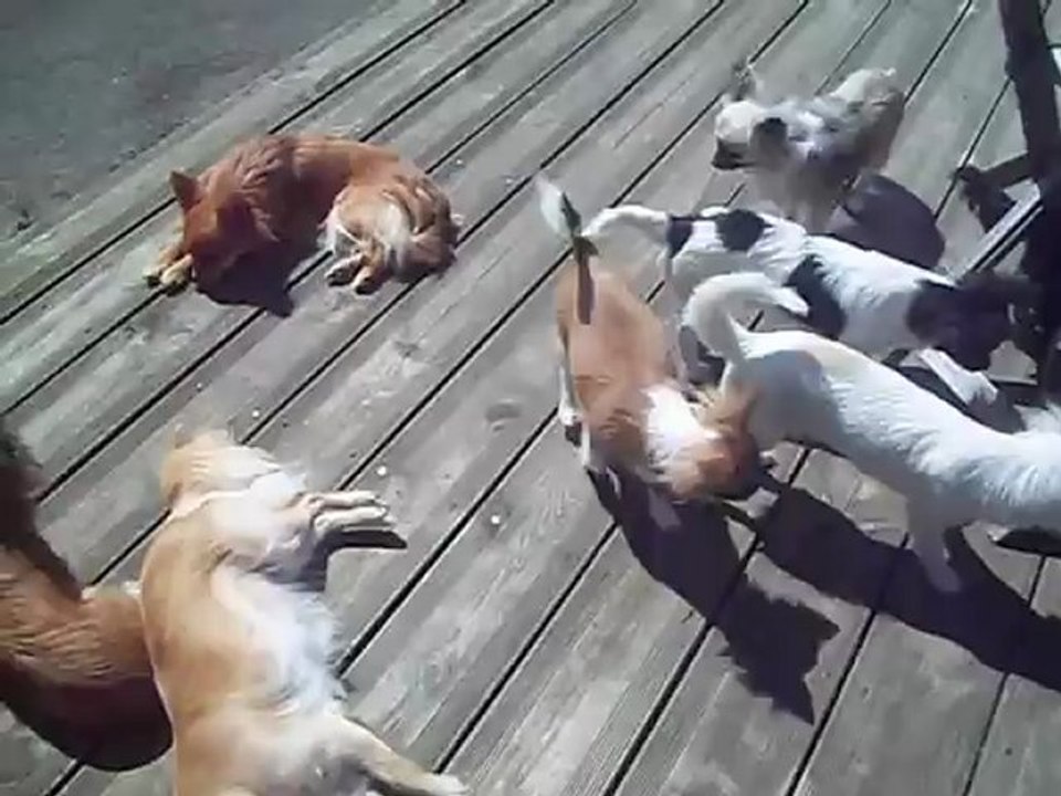 il fait beau, profitons du soleil