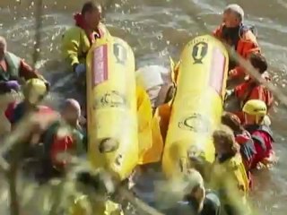 Сразу 26 китов-гринд выбросились на берег Шотландии