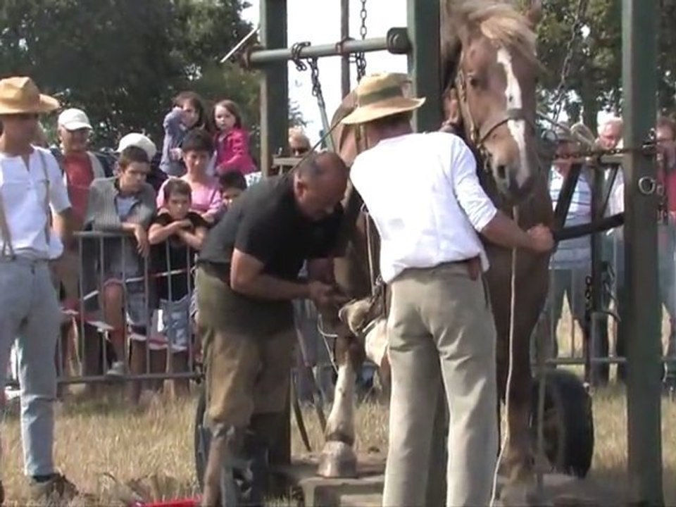 Les Vieux Métiers Hénansal 2012
