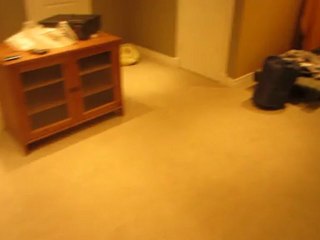 custom-wall-unit-ottawa-ontario