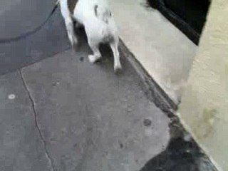 Balade avec pépère