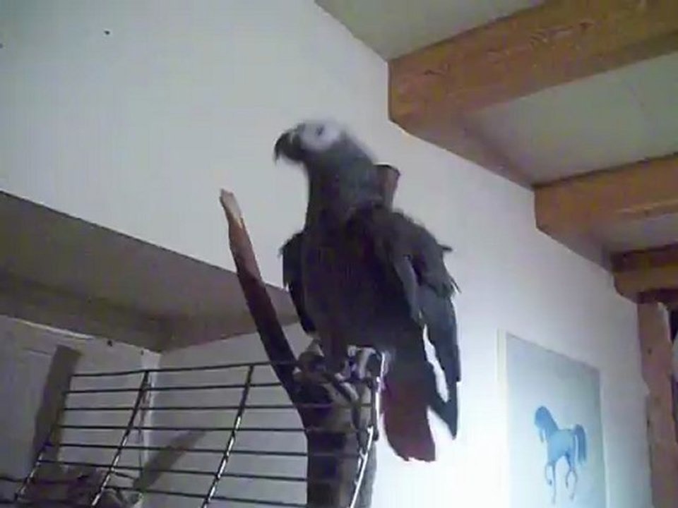 ananas a le rythme dans la peau !