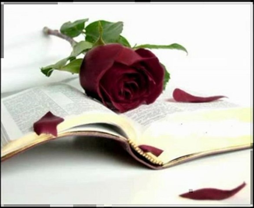 beni Güzel Hatırla melek nur- ulkepostasi.com