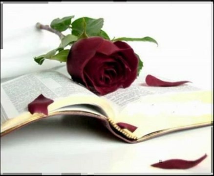 beni Güzel Hatırla melek nur- ulkepostasi.com