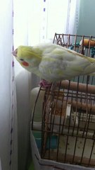 RIFKI KONUSMAYA BASLADI