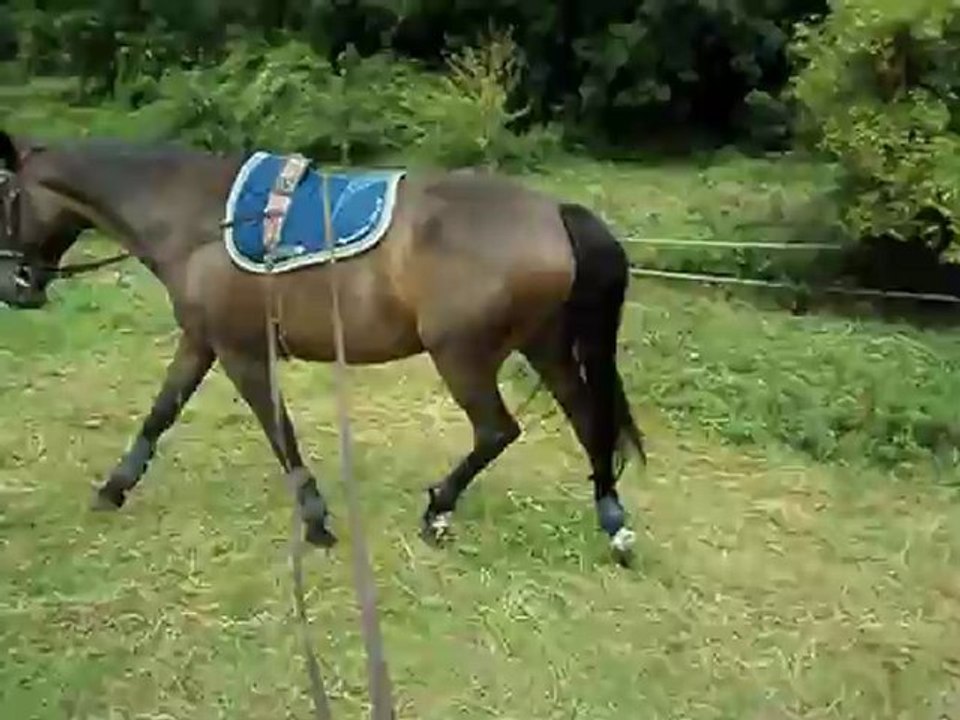 LR 03/09/2012