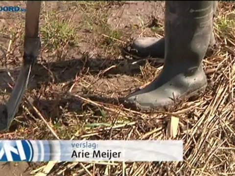 Boeren gedupeerd door zware regenval - RTV Noord