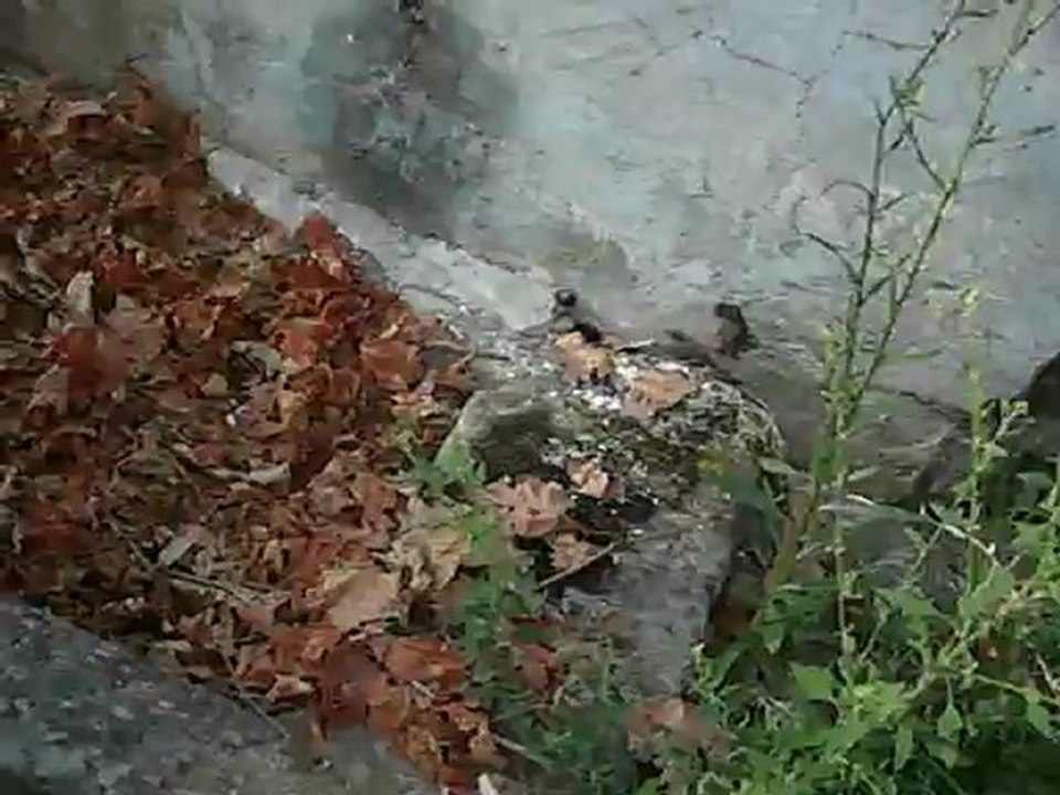 Gemiç Köyü 1. Lokma Günü 2 eylül 2012 PAZAR (147)