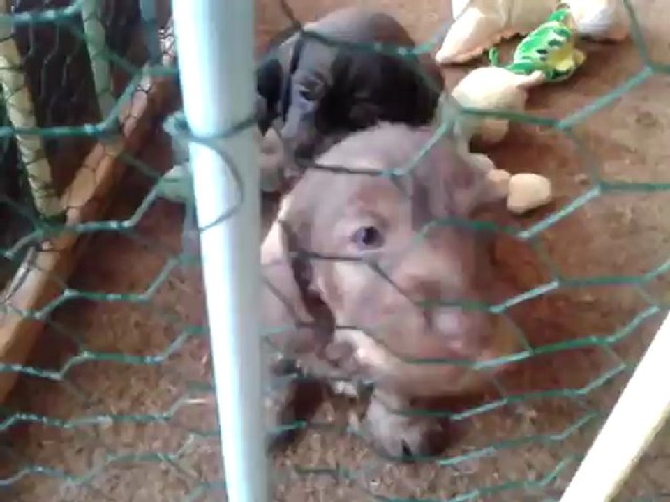 video-2012-09-02-11-03-00