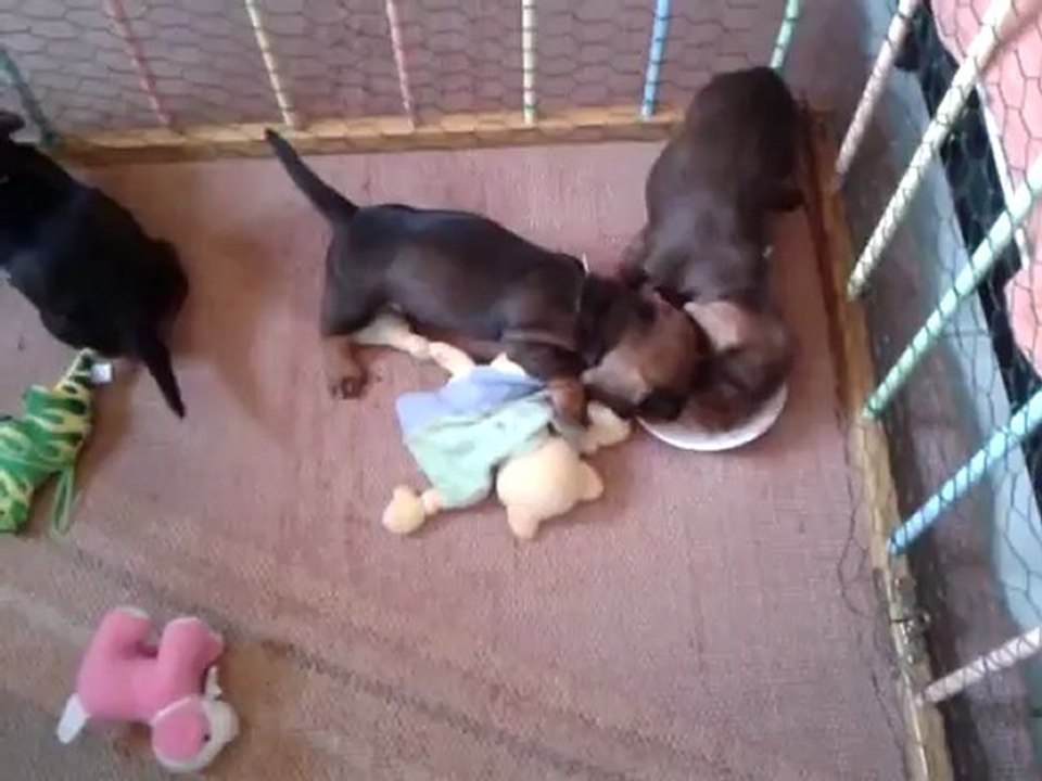 video-2012-09-01-10-35-56