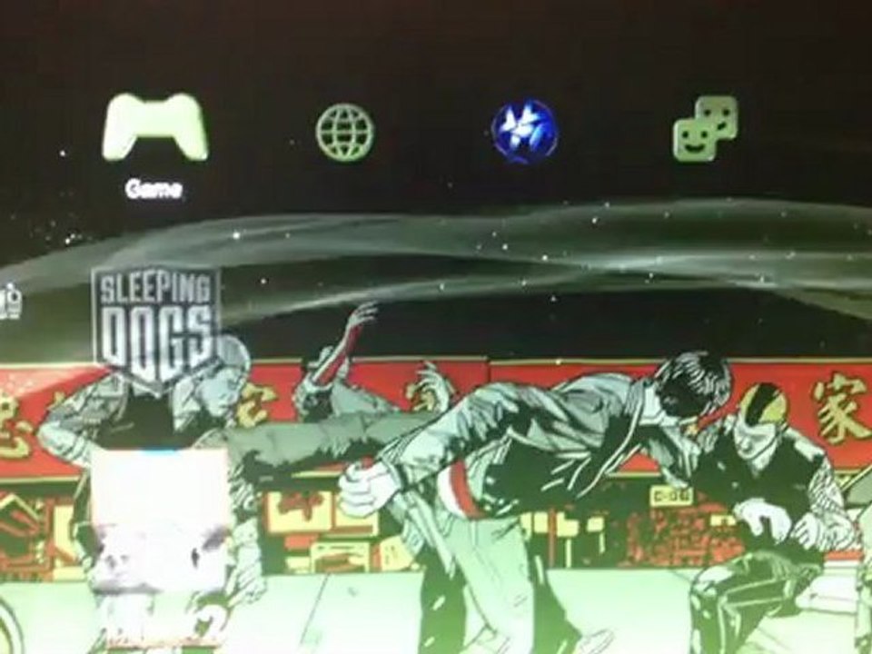 Sleeping Dogs