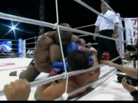 Bob Sapp vs. Antonio Rodrigo Nogueira