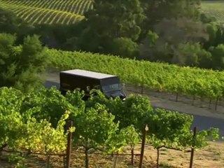 The Value of Sustainability: Grgich Hills Estate