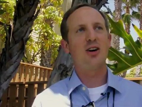 Taylor Guitars: Premium Acoustic Guitars