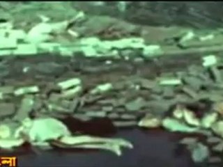 history of Bangladesh Liberation war 2