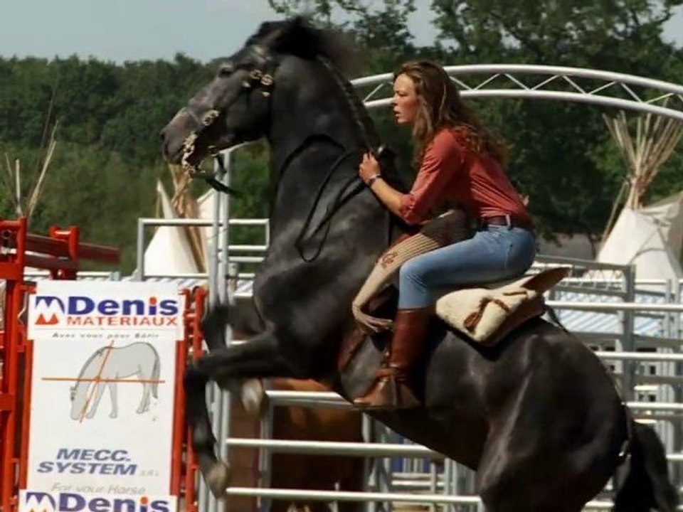 LE CHAT ERRANT West Country 2012 : Marine et Gadalio !