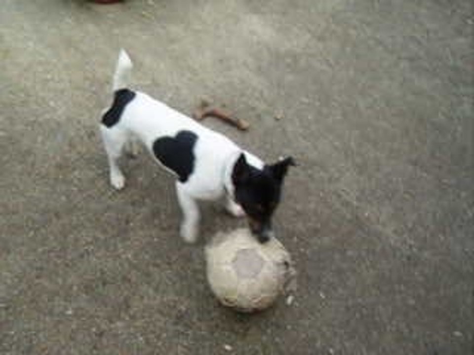 Léo joue au foot
