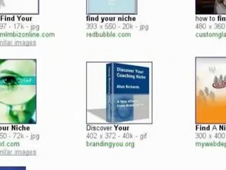 find a profitable niche