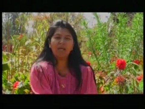 Copie de Journal Télévisé Mada / RTA / Madaplus