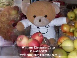 Download Video: Photos of Teddy Bears