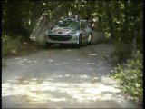 Rallye Terre de Lozère 2012