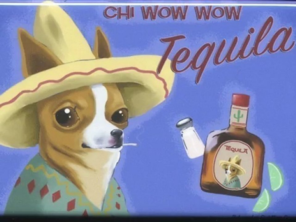 Tequila Dog video Dailymotion