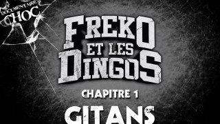 chapitre 1 : gitans + concert ( documentaire : fréko et les dingos )