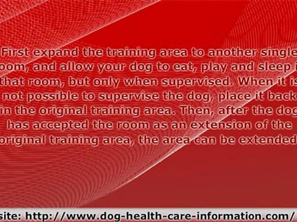 Dog House Training - How to House Train Your Dog