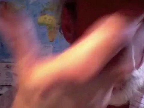 Evasori e Paradisi Fiscali