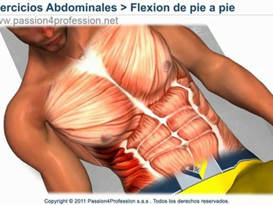 Abdominales oblicuos