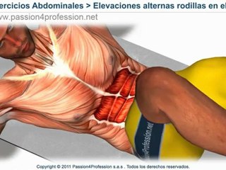 Abdominales para principiantes